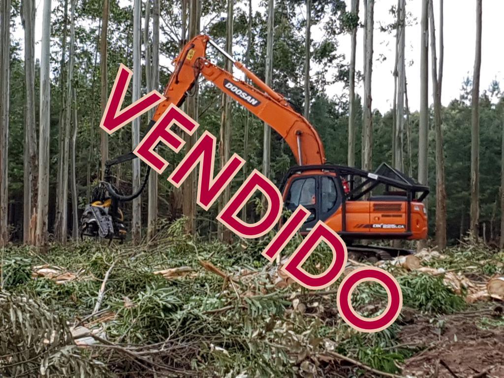 EXCAVADORA DOOSAN CON CABEZAL PONSSE H7